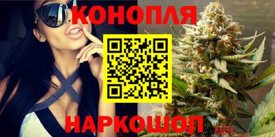 гашик Кунгур