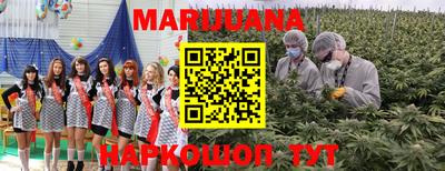 гашик Кунгур